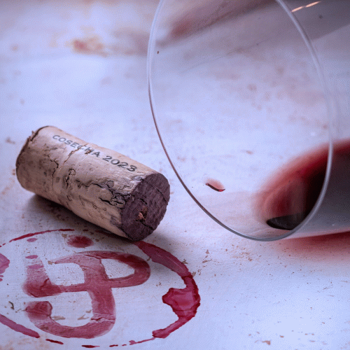 Jovenes Pordioseros : Vino Tinto
